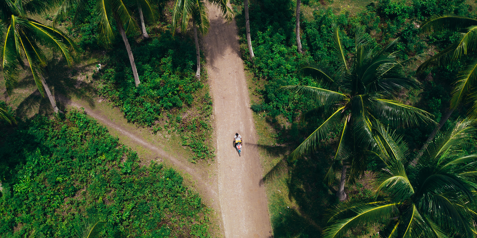 Coconut Island Slide
