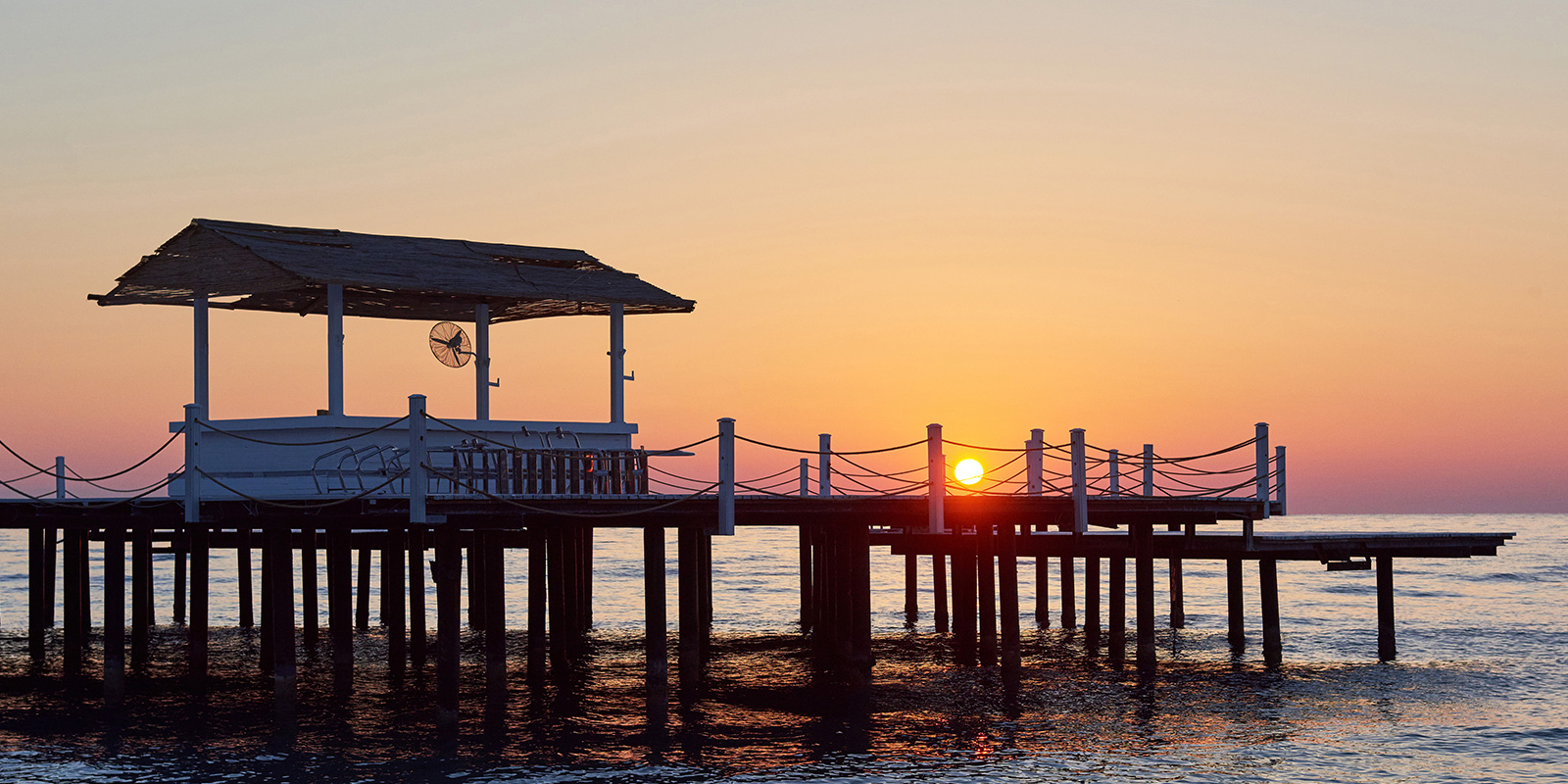 Coconut Island Slide
