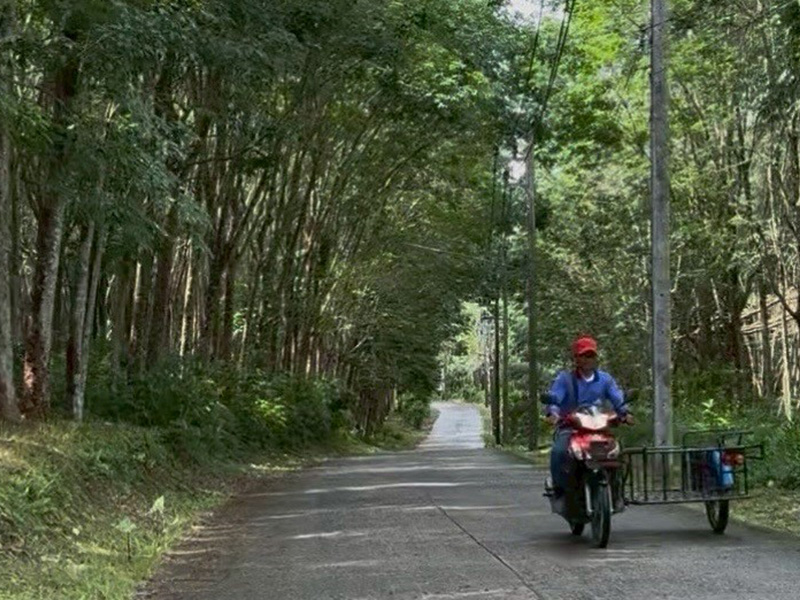 Local Lifestyle & Community