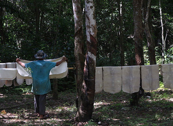 Experience island farming life