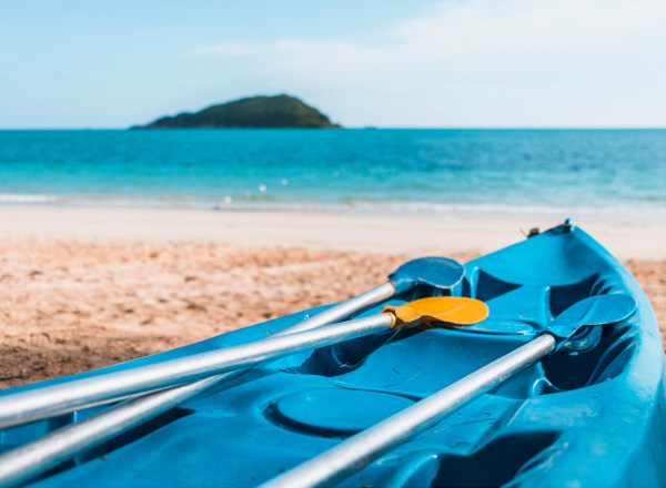 Kayaking through mangroves