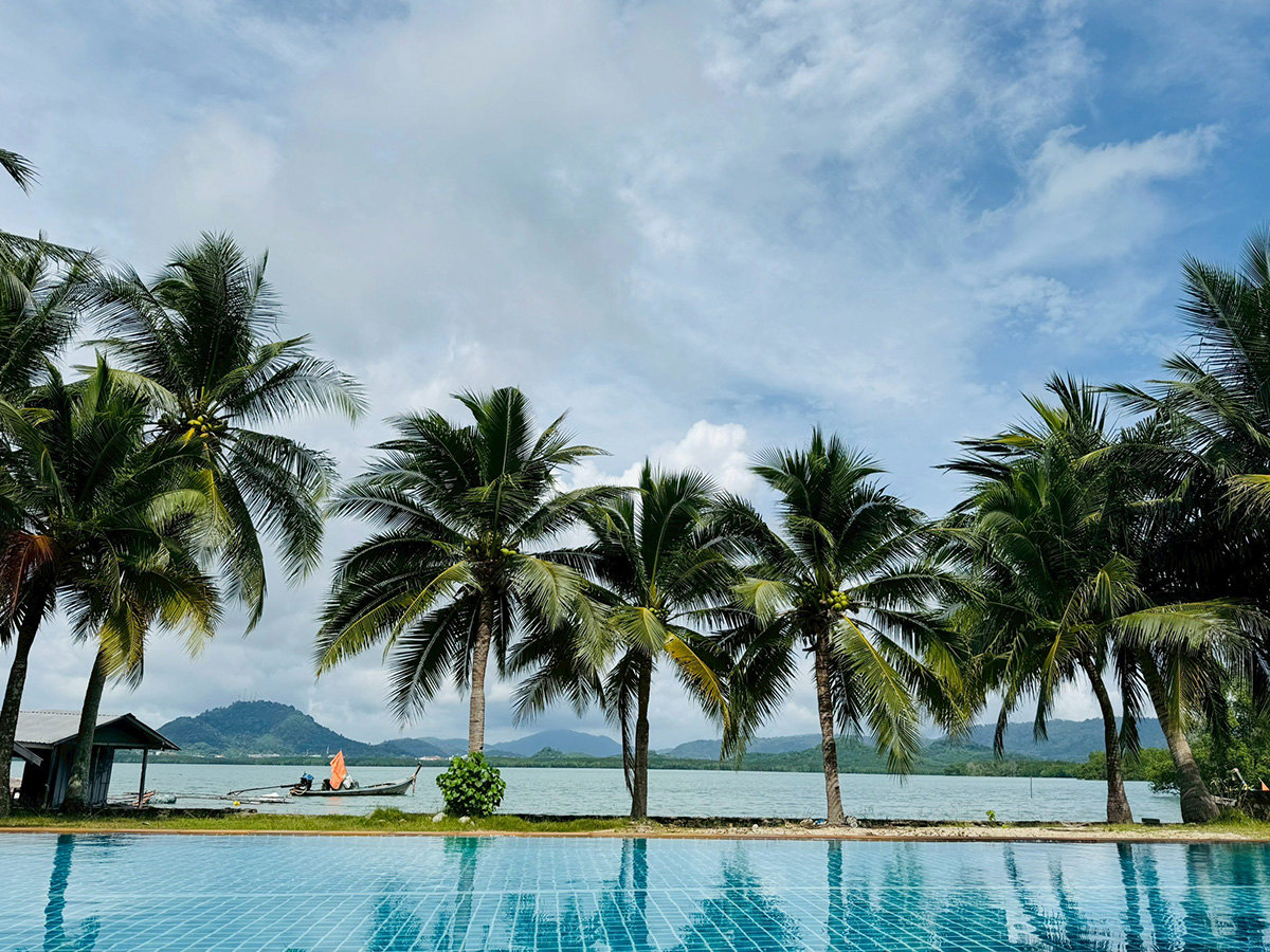 Island Flora: A Guide to Our Unique Plants